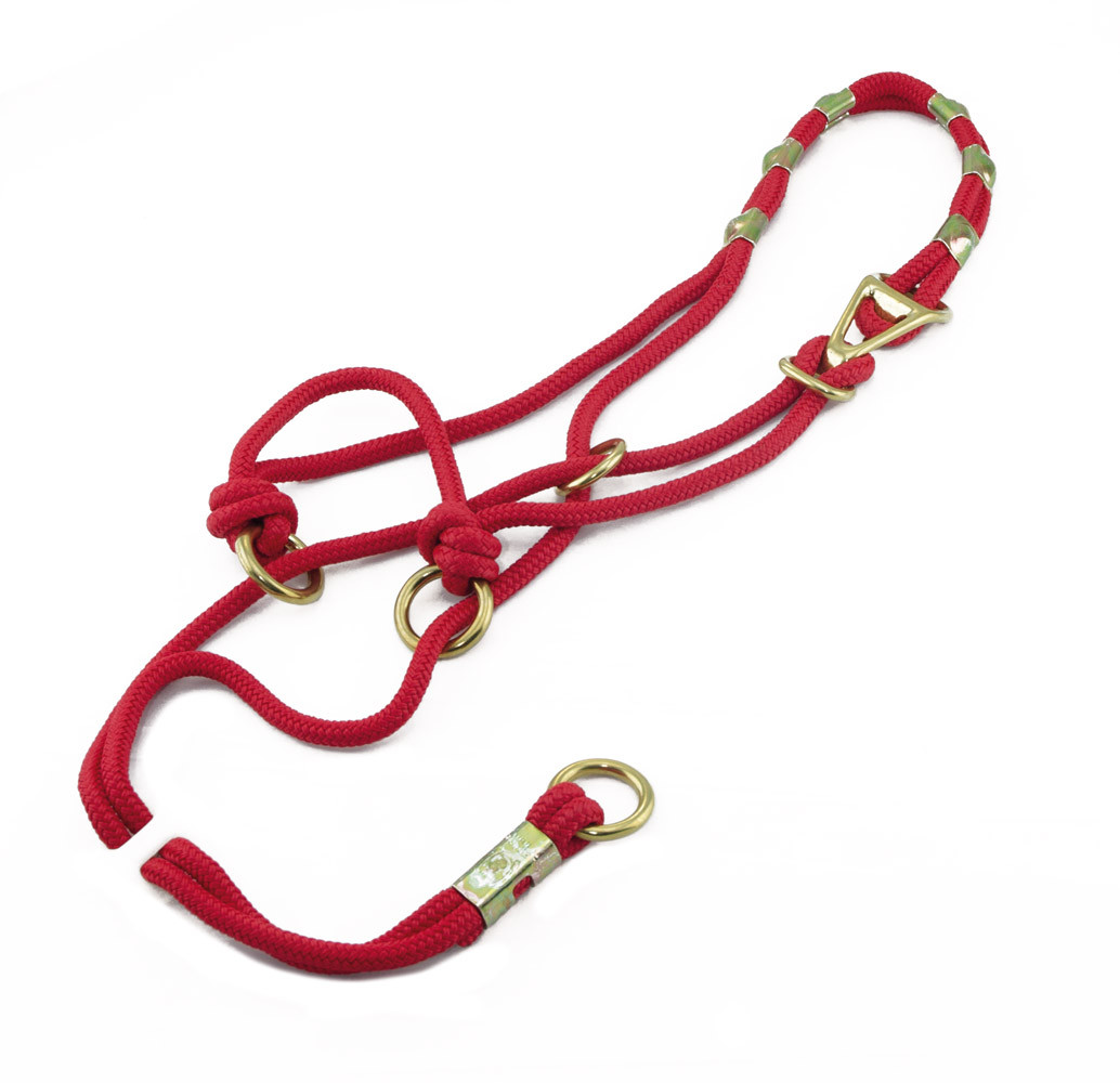 Training Halter