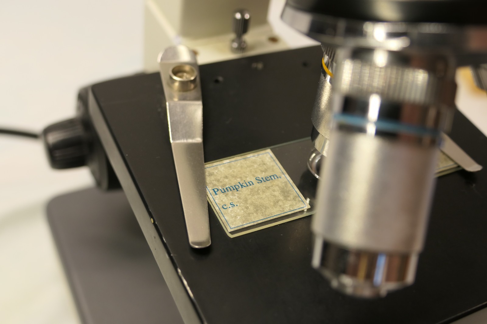 Fisher Scientific S90004 Student Microscope