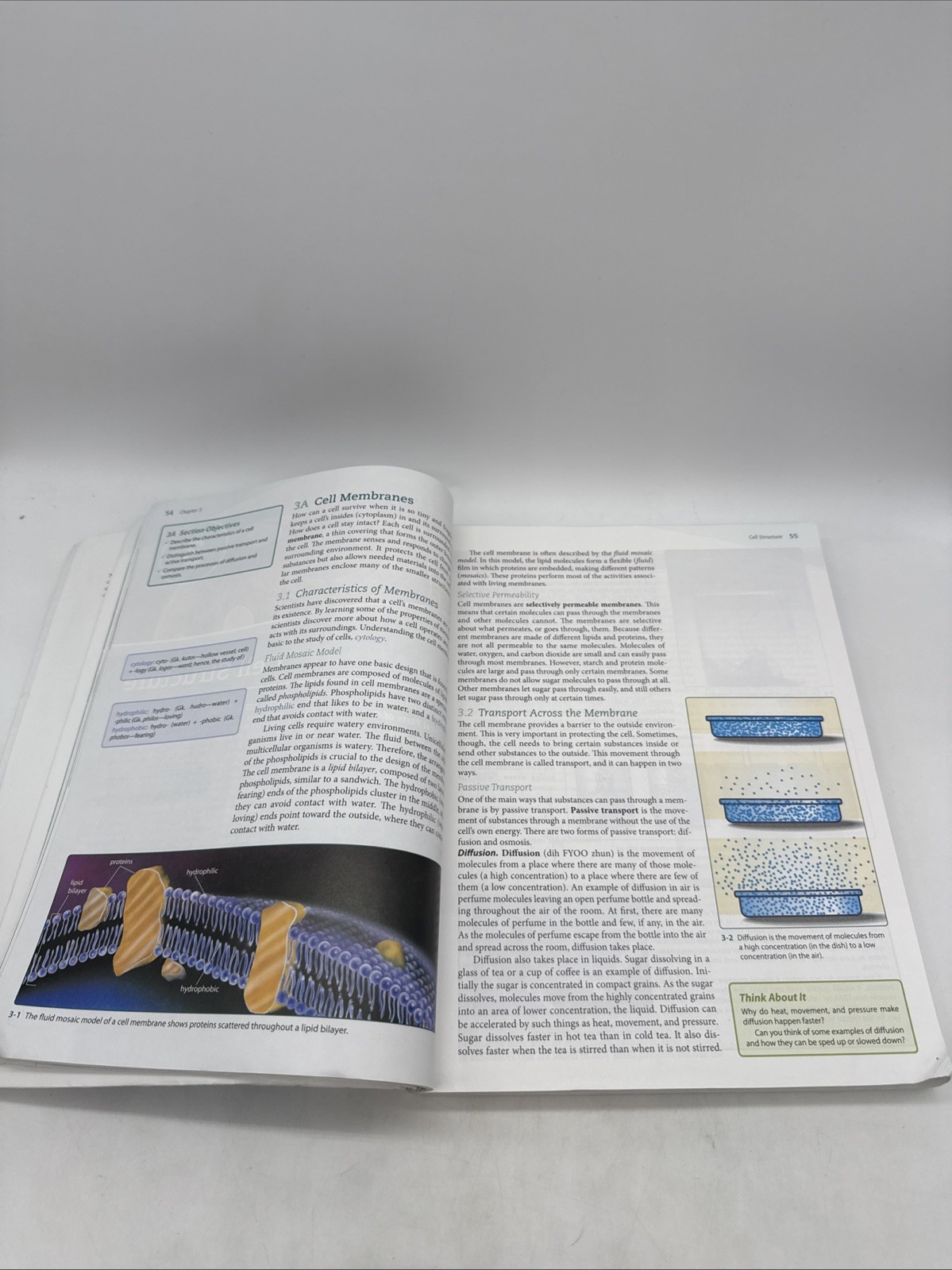 Bob Jones Life Science Student Text & Lab Manual (4th Edition) 7th Grade