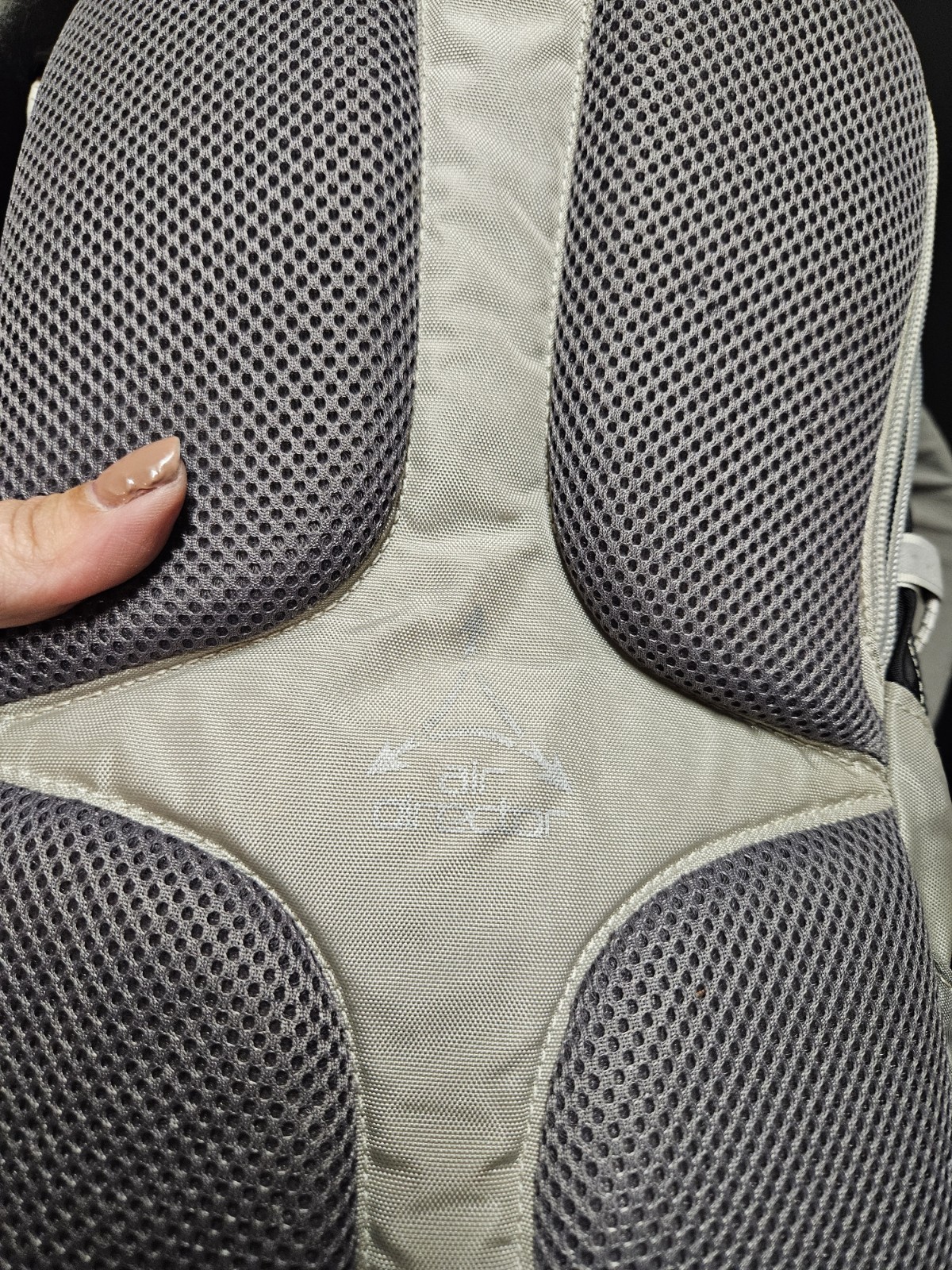 CamelBak Magic Hydration Gray Pack Clean With Bladder.