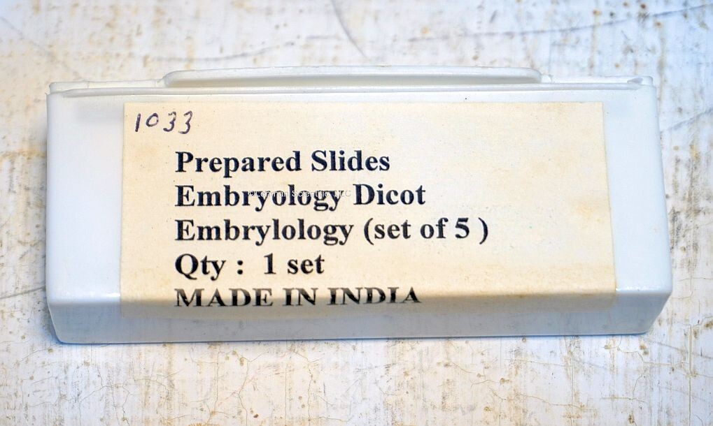 Prepared Microscope Slide Set, Embryology Dicot, 5 Slides, New!