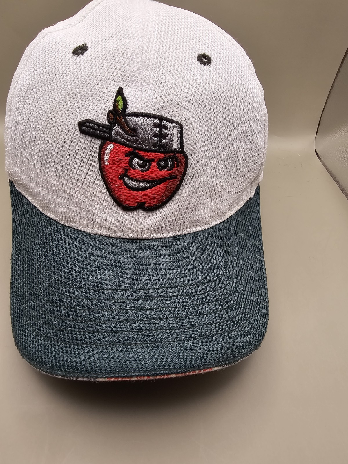 Fort Wayne TinCaps Dad Hat MILB Baseball Adjustable