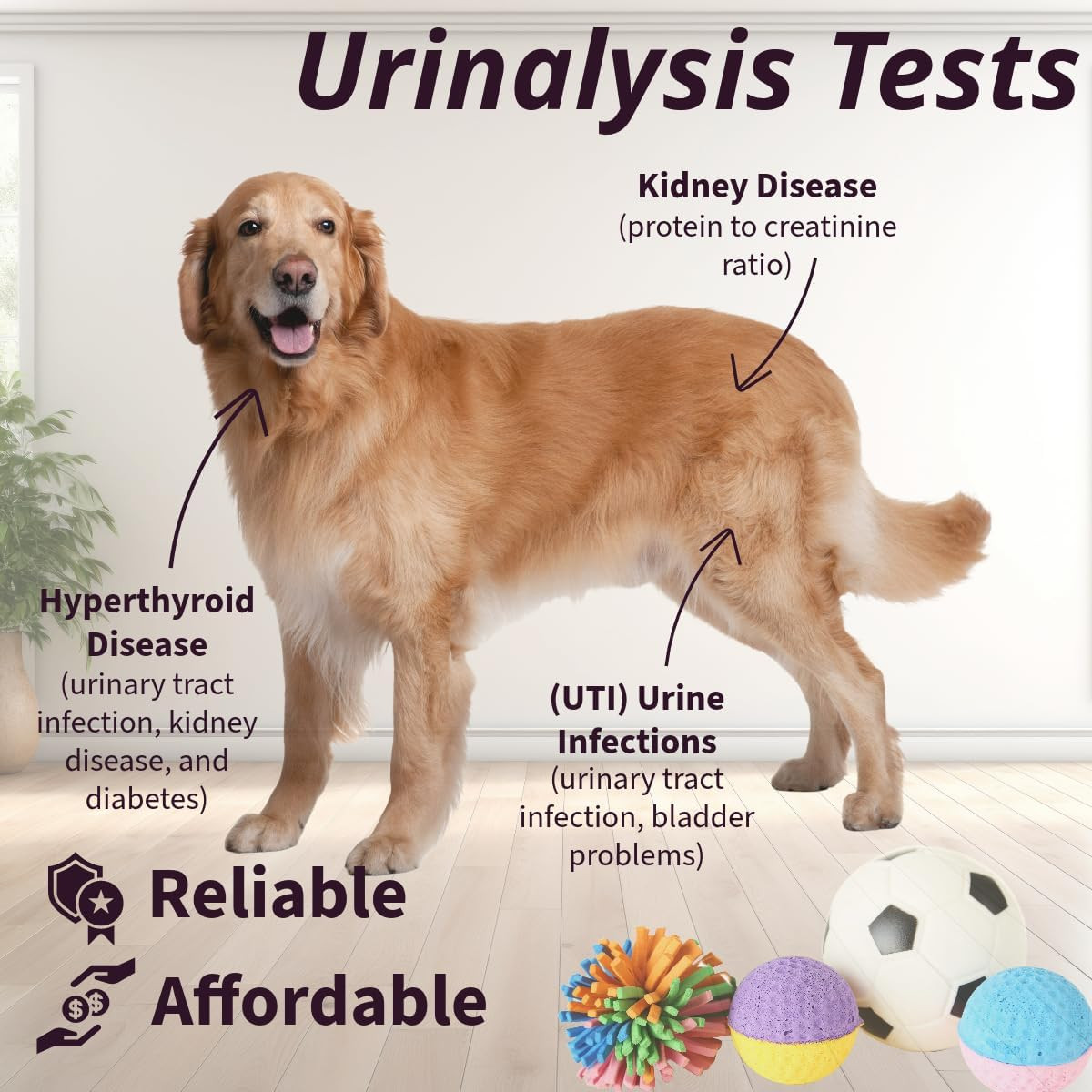 One Step Pet Urine Testing Strips, 50 X Urinalysis Parameter Tests for Dogs, Cat