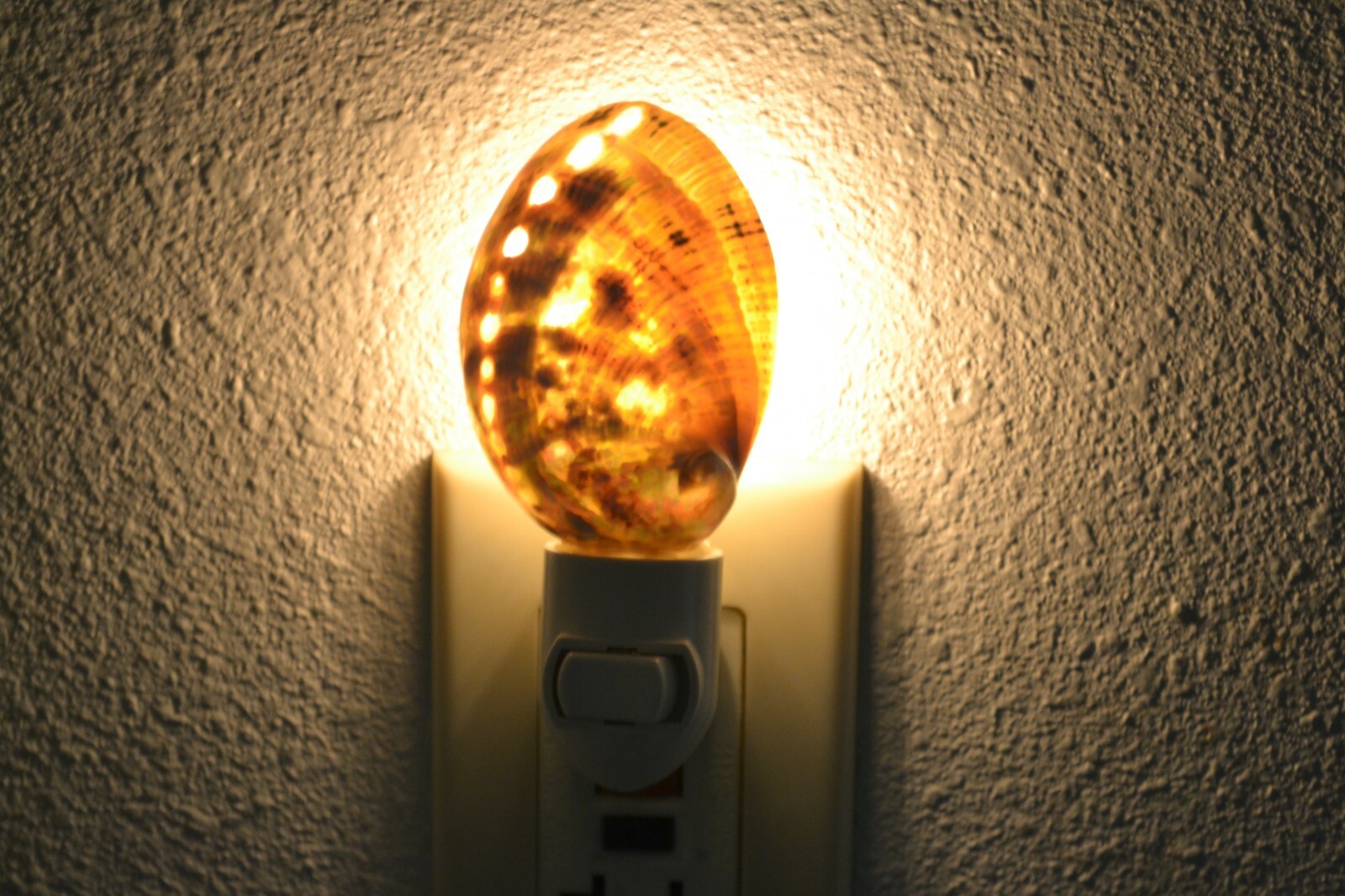 GREEN ABALONE SEA SHELL NIGHTLIGHT