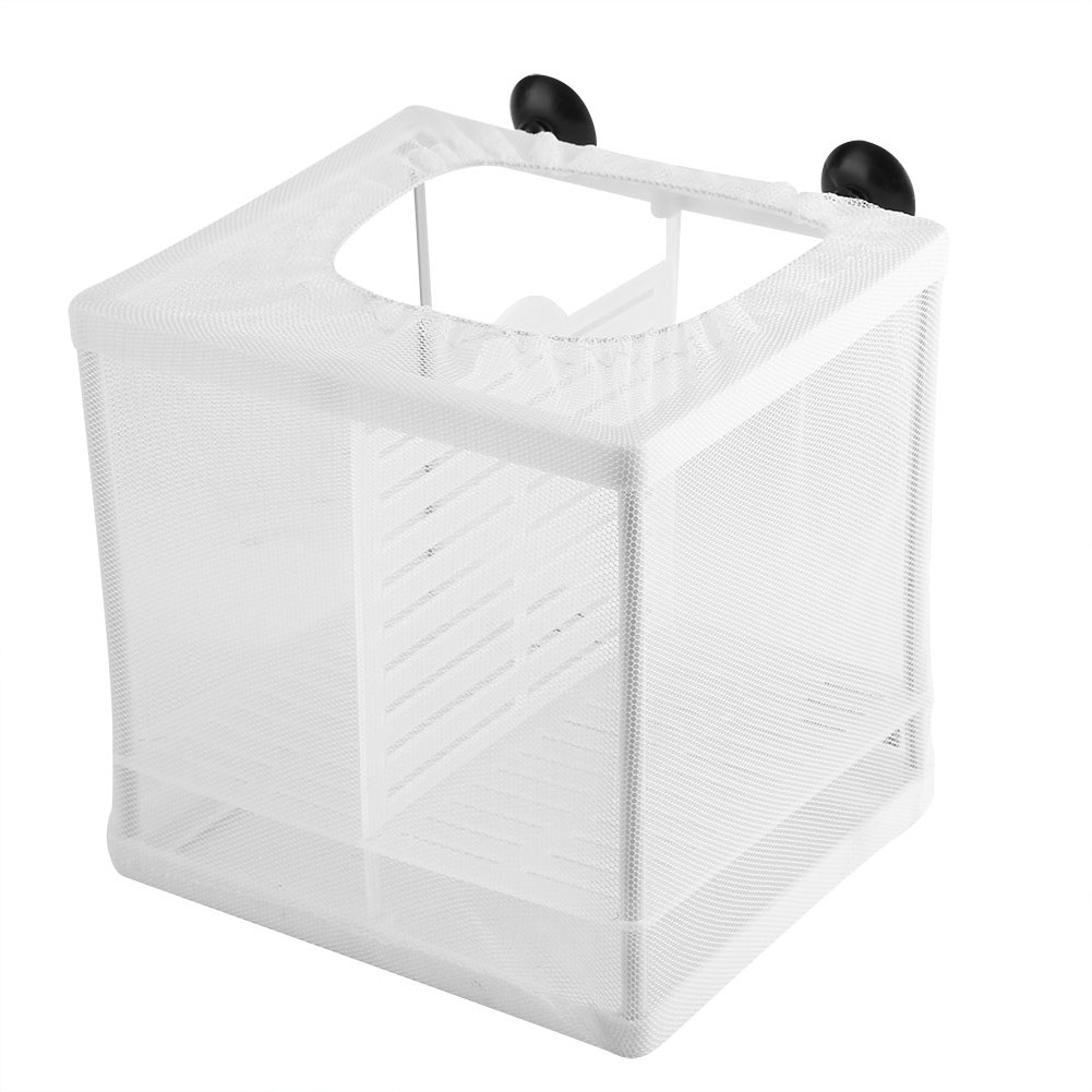 Breeding Net For Fish Tank Baby Separator Breeder Box Acrylic Awxzom