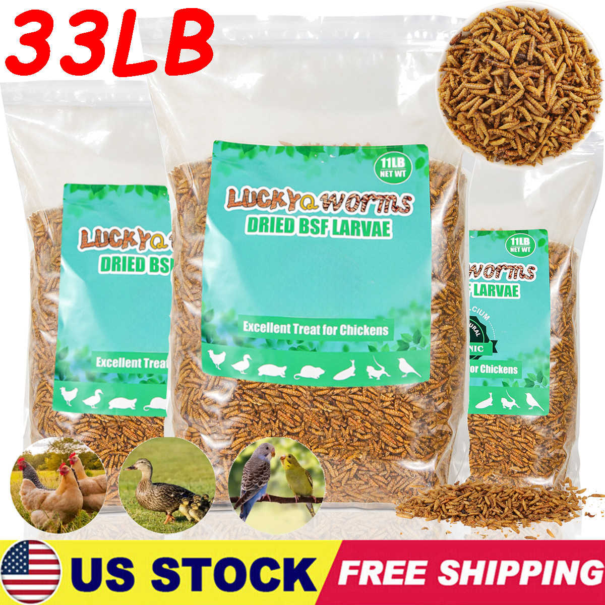 33LB Non-GMO Dried Black Soldier Fly Larvae Chicken Birds Reptiles Natural Treat