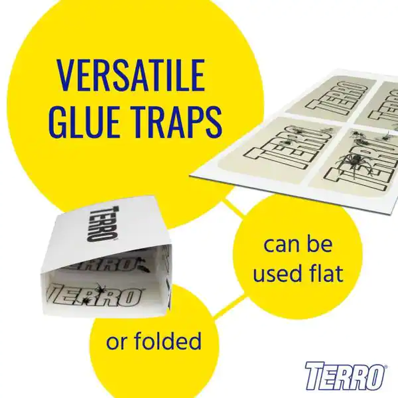 Non-Toxic Spider and Insect Trap (4-Count)