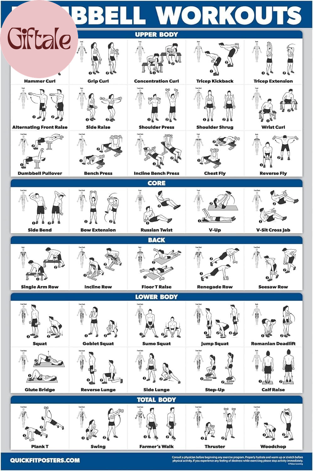 Dumbbell Workout Exercise Poster - Free Weight Body Building Guide | Home Gym Ch