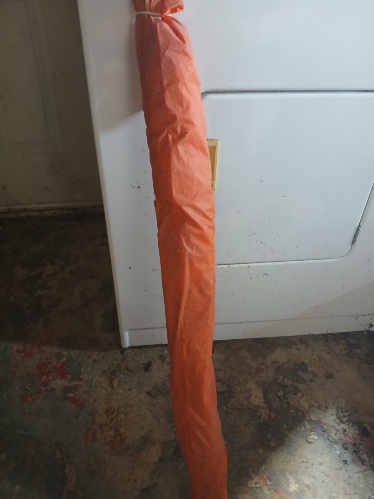 Flex Foil Kite