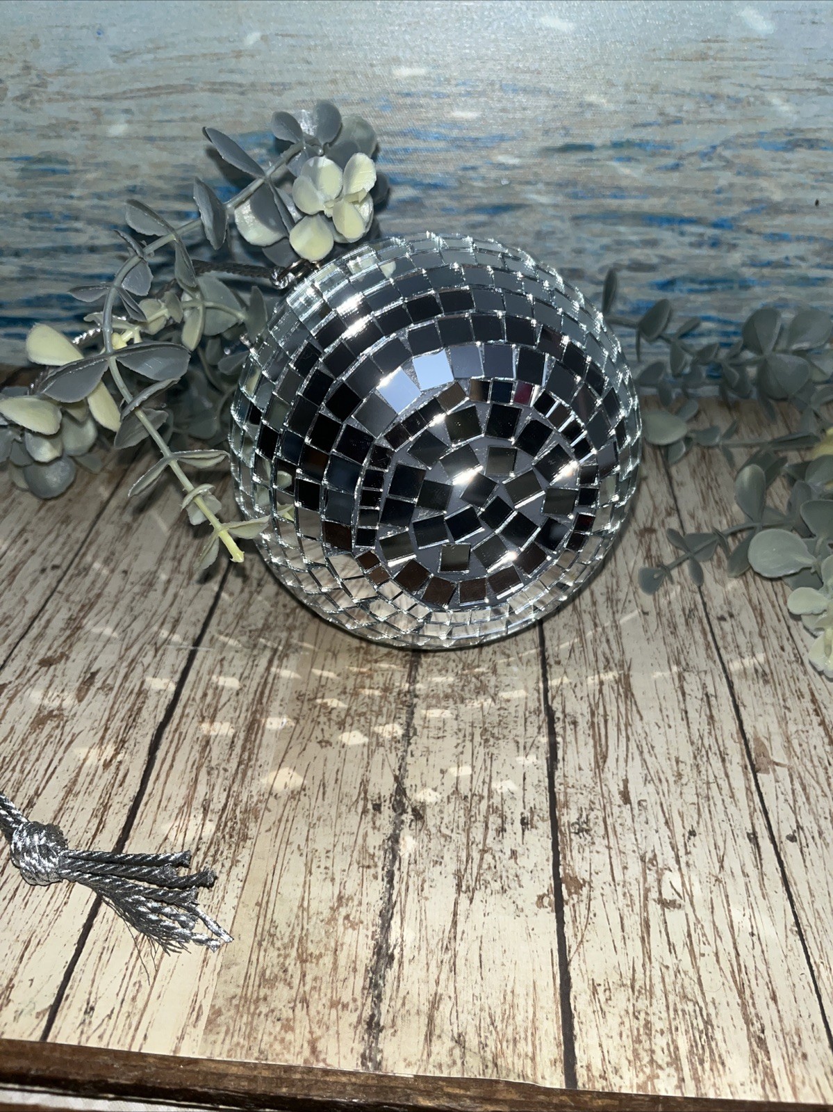 Disco Ball Hanging Plant 24”
