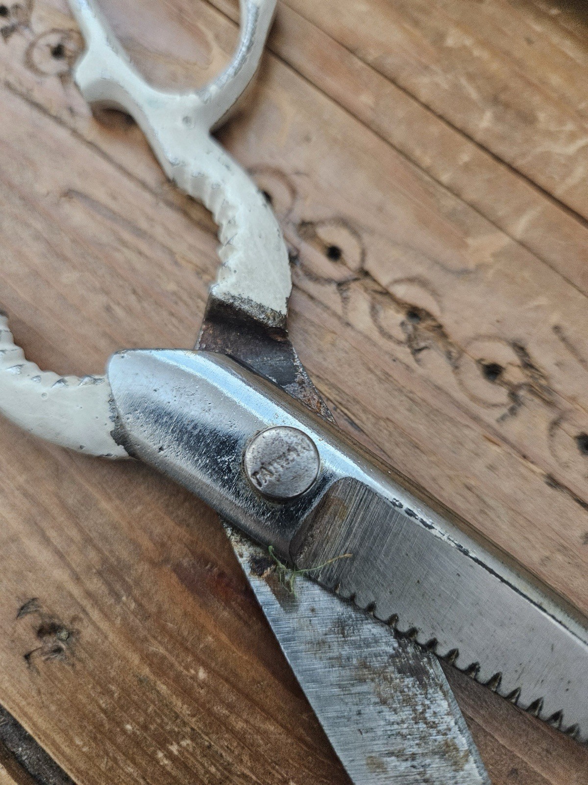 Vintage Kitchen Shears Heavy Duty Take-Apart Scissors