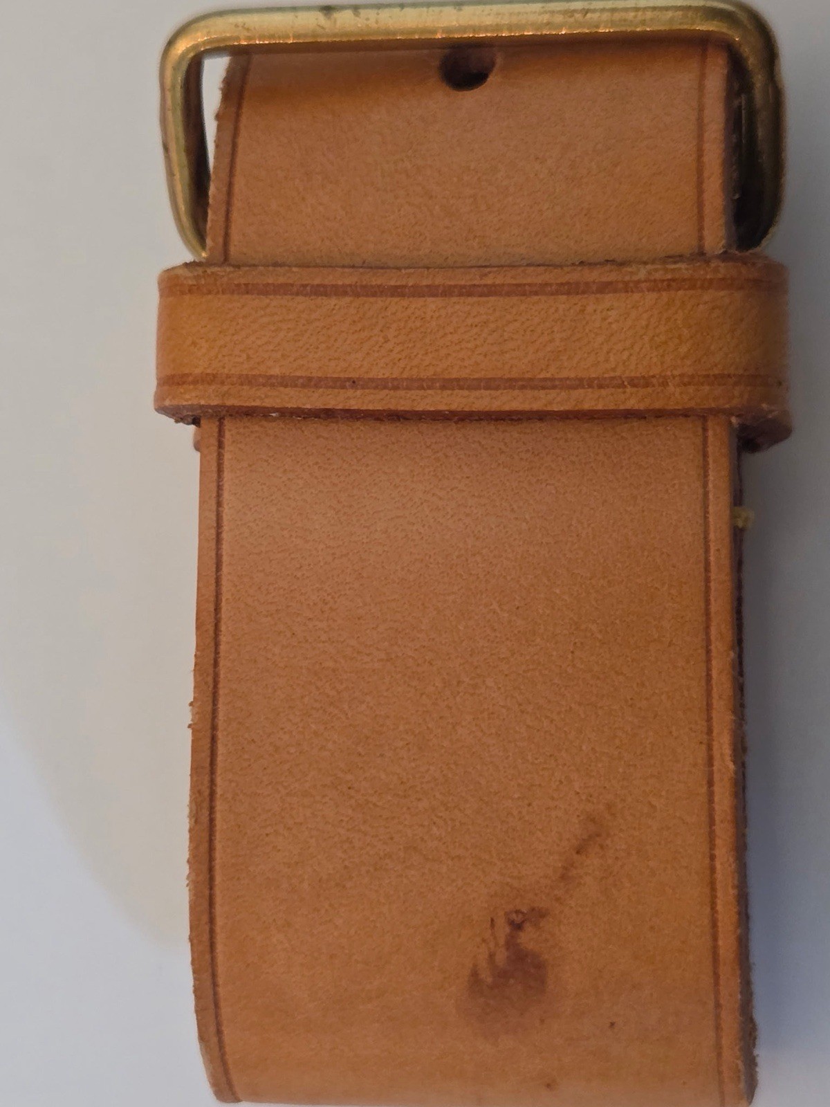 Louis Vuitton Luggage Strap