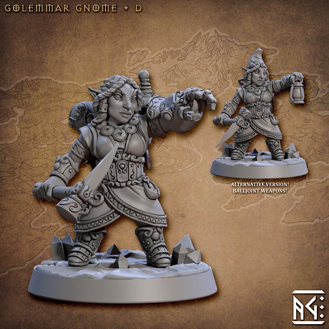 Gnome Fighter / Cleric D - Artisan Guild - Dungeons and Dragons