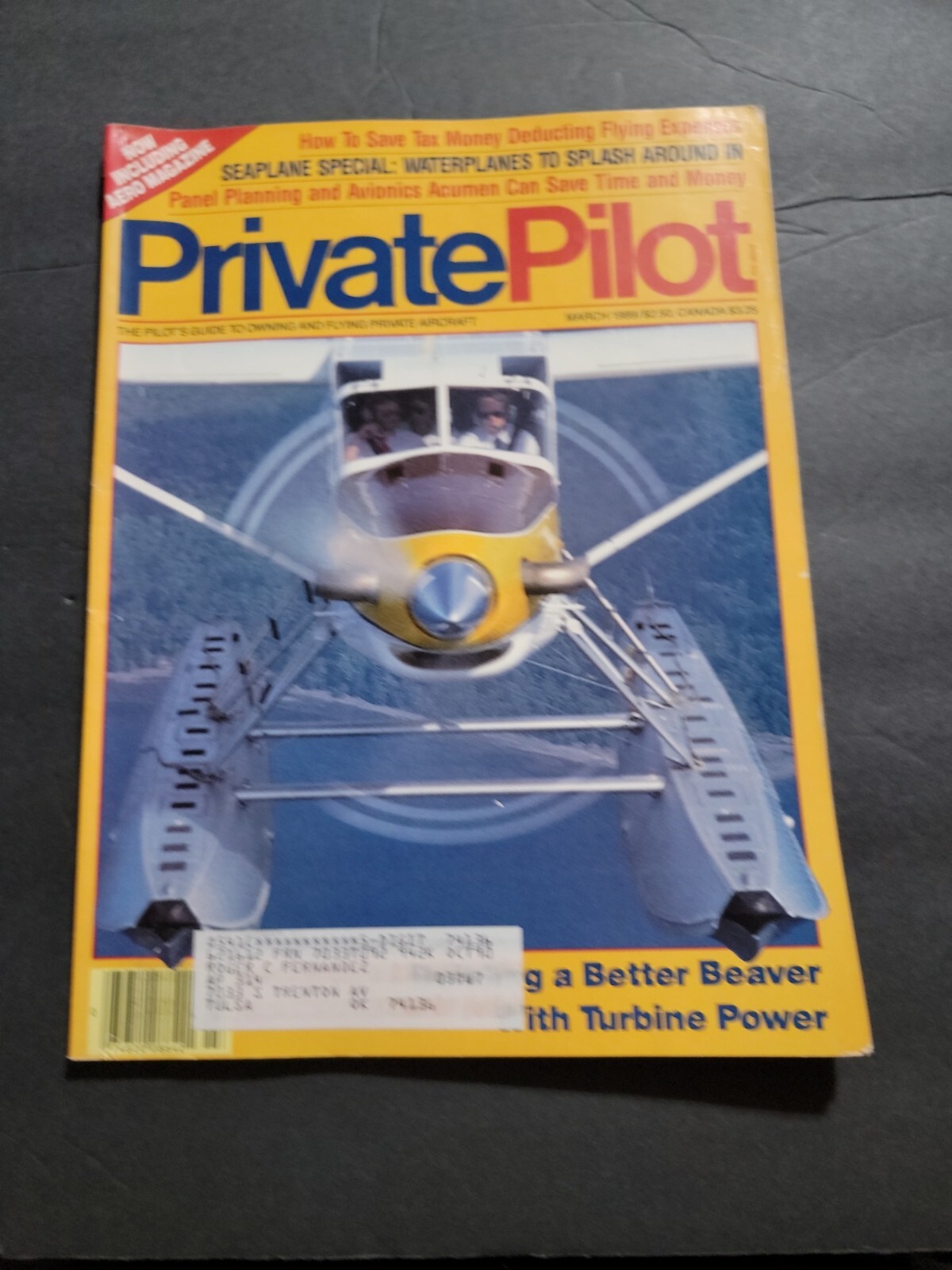 PRIVATE PILOT AVIATION MAGAZINE/LITERATURE MARCH 1989