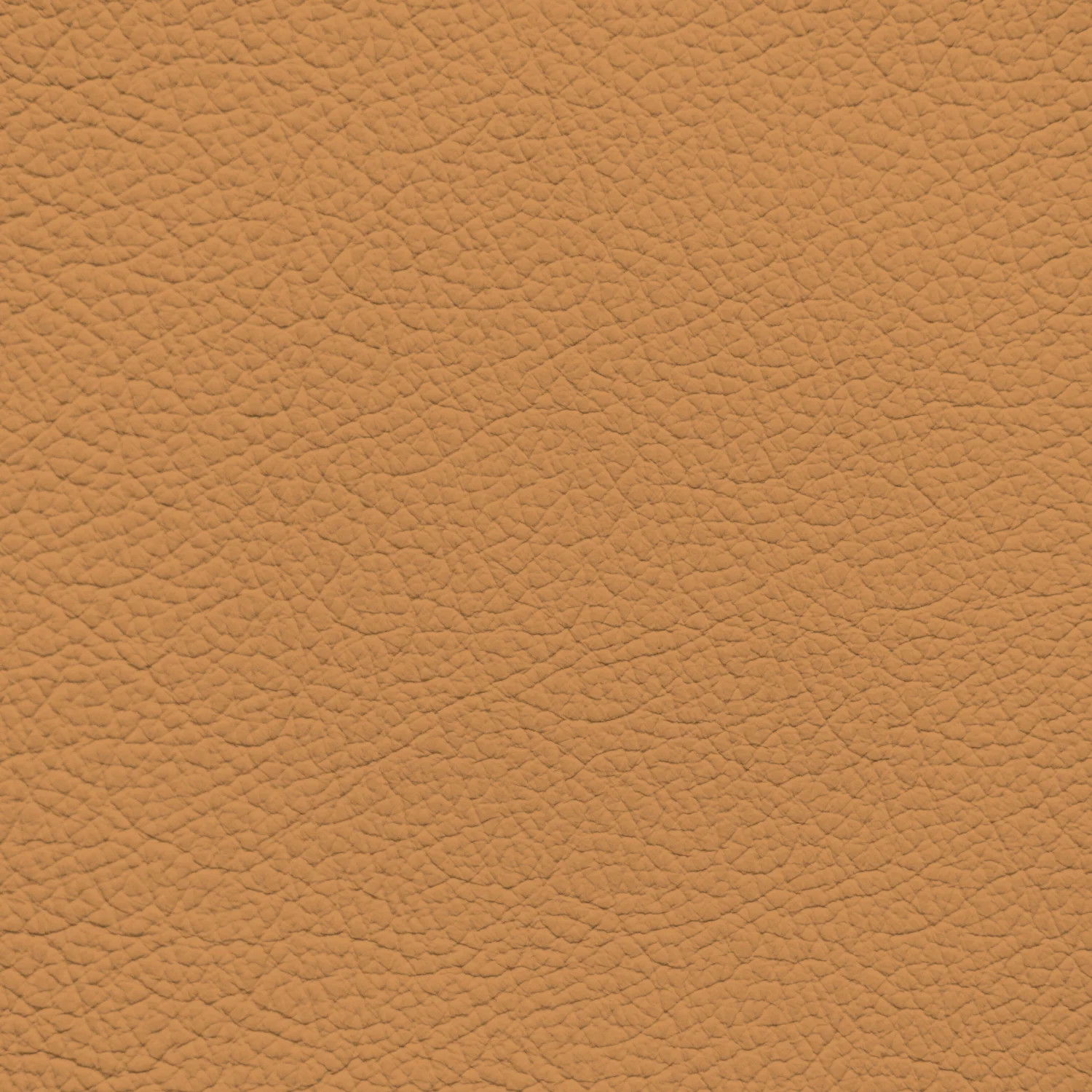 Jaguar Saddle Leather Dye