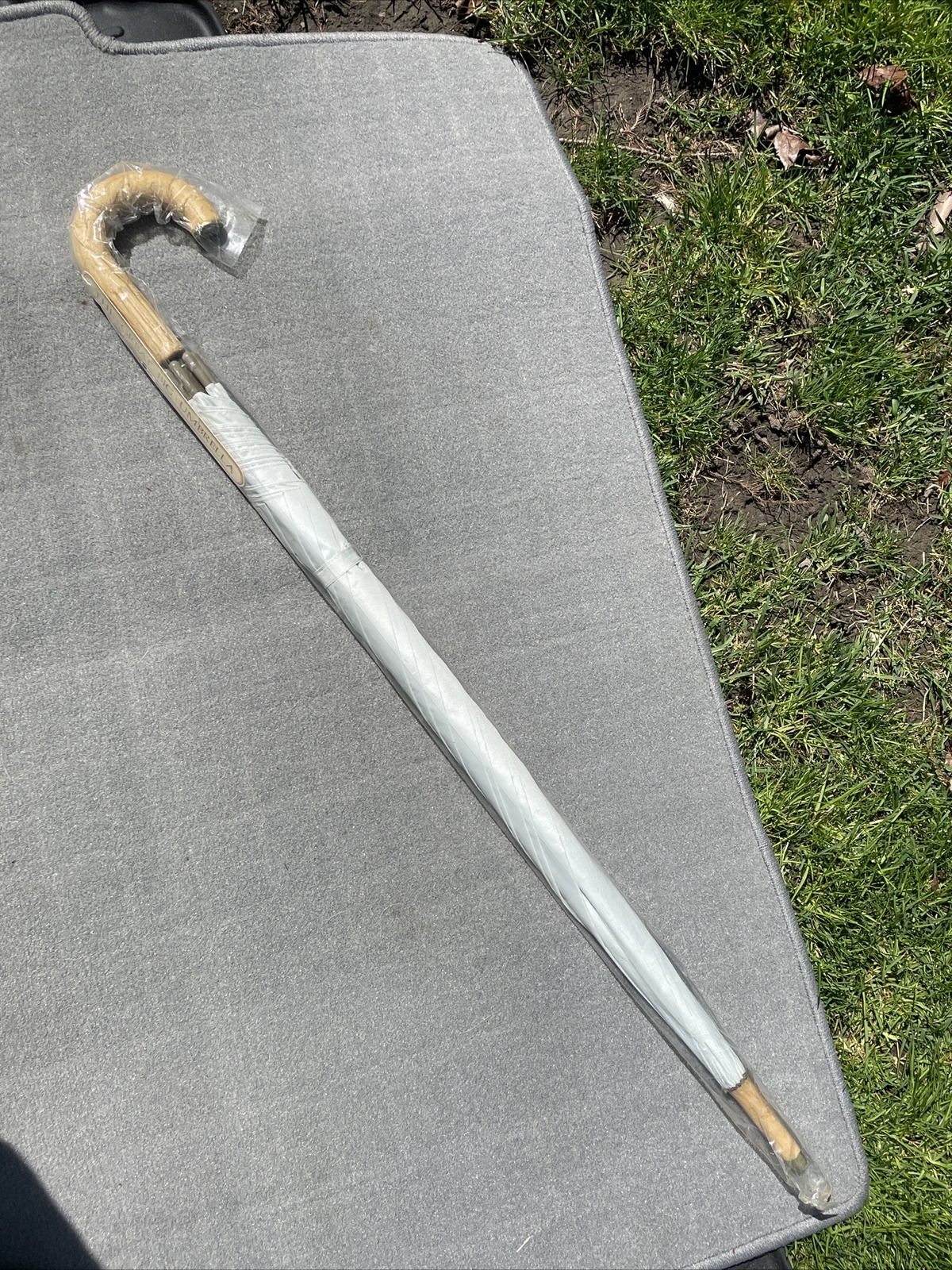 Aramis The Great Big Umbrella Gray Cane Type NWT
