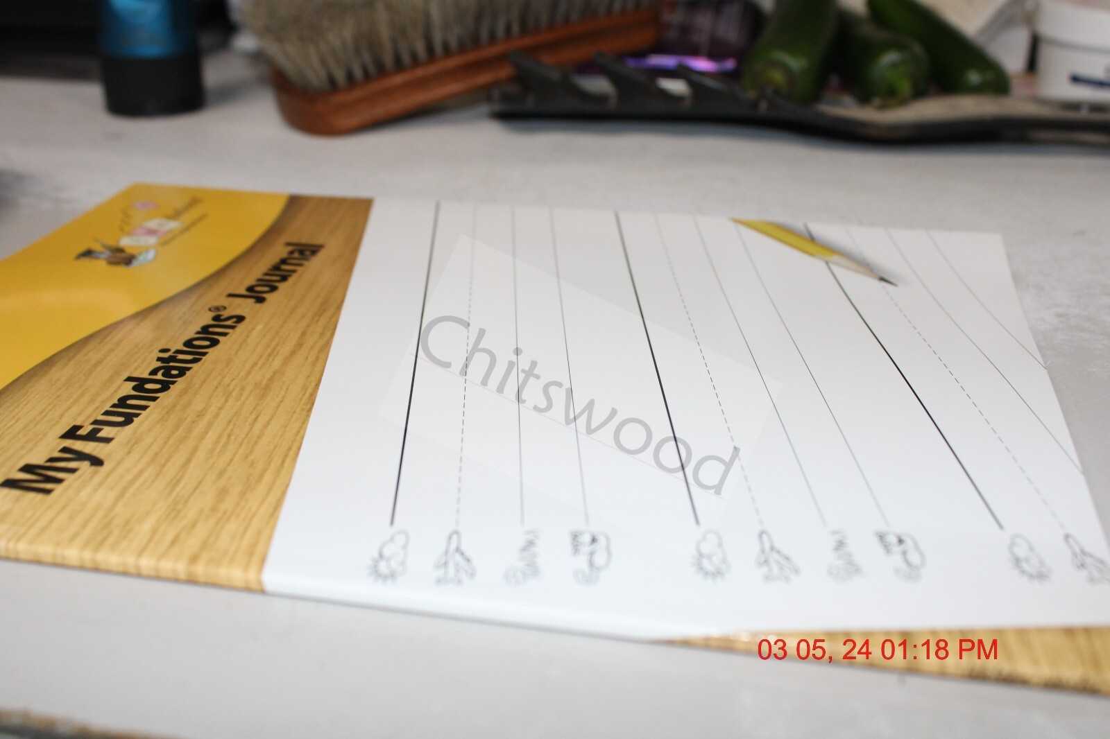 My Fundations Journal--Wilson Language Basics-NEW-Paperback-2021-2nd Edition