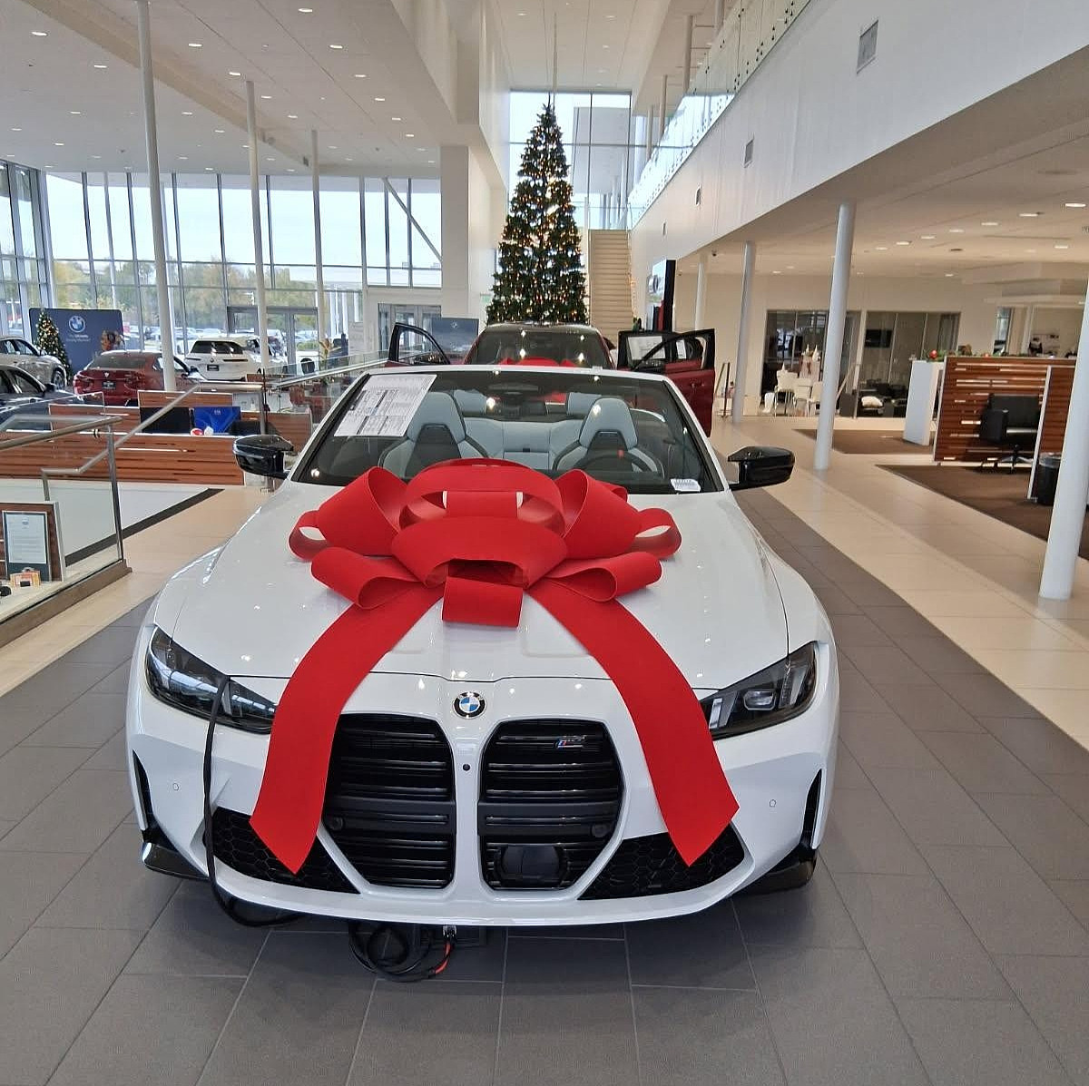 GIANT RED VELVET CAR BOWS