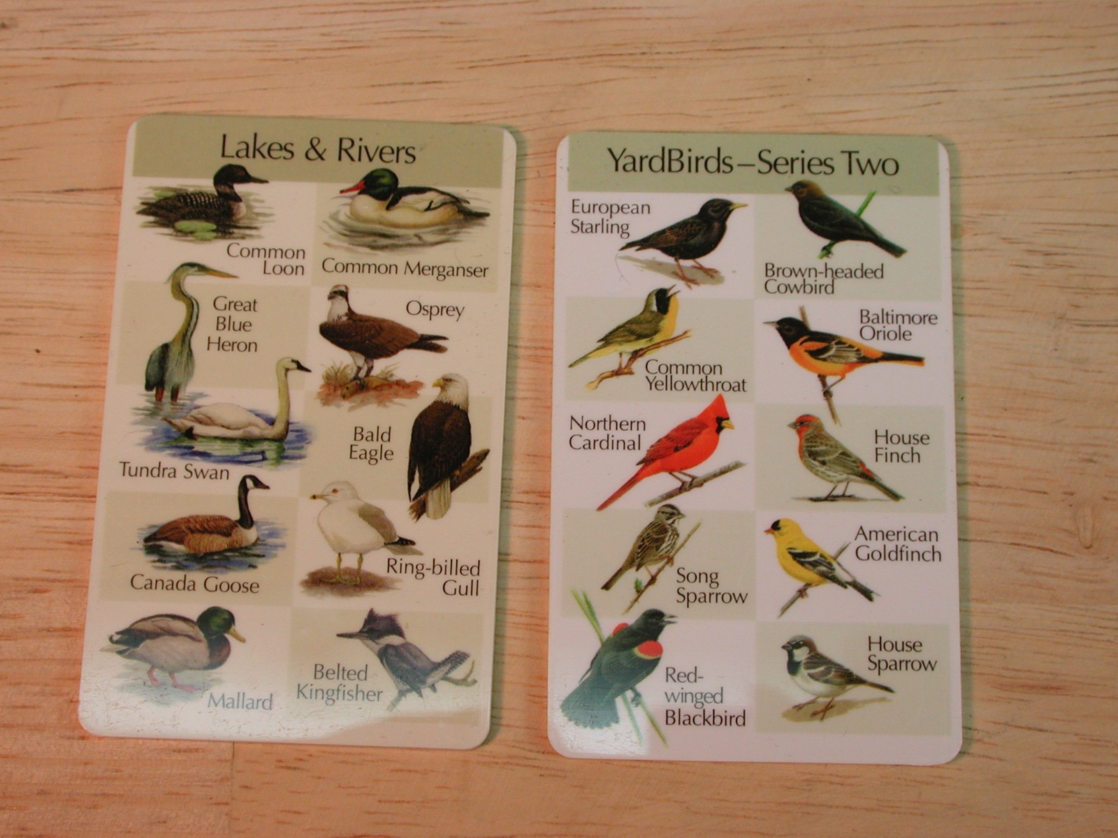 Birdsong Identiflyer - HANDHELD UNIT - player with 5 cards, identifier, tested,