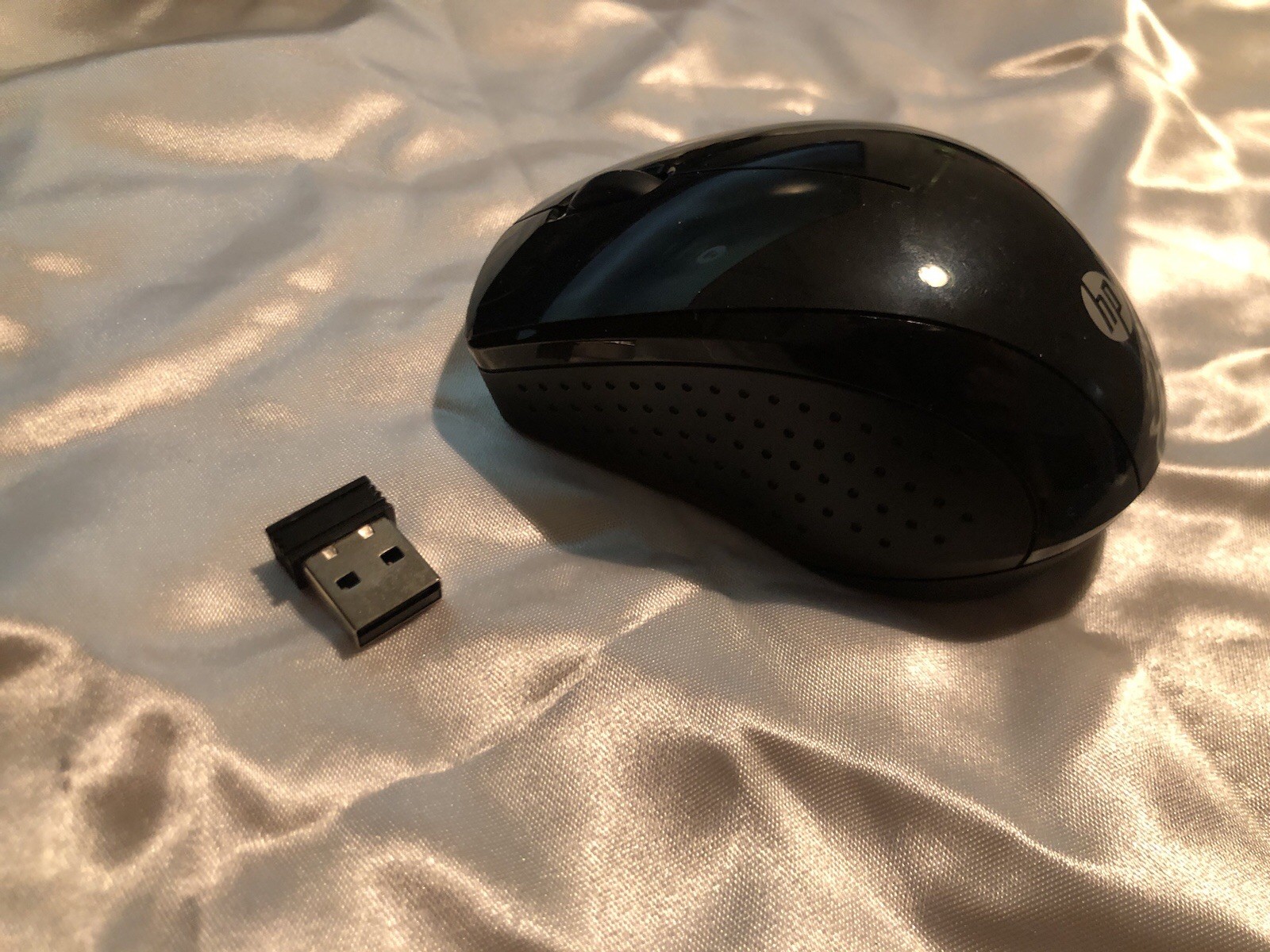Mouse
