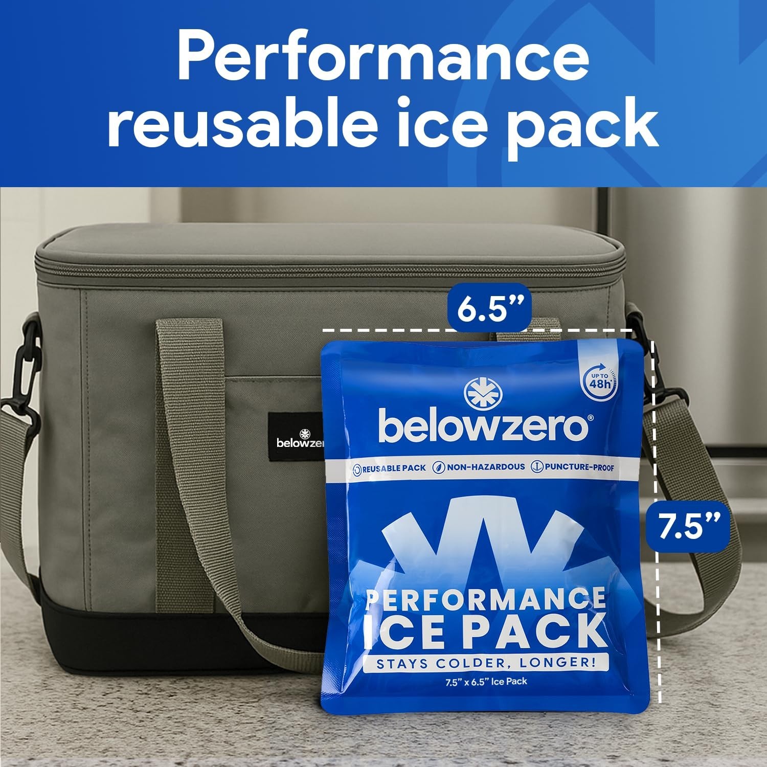 Below Zero Prefilled Reusable Ice Packs for Coolers | Long Lasting Freezer Ic...
