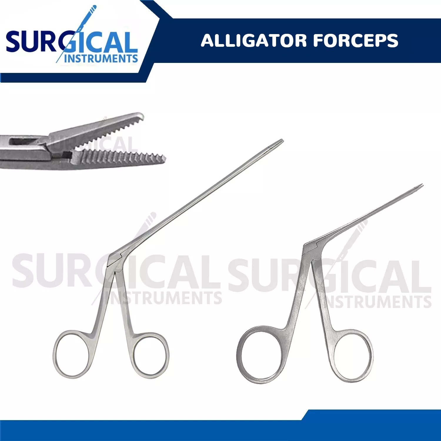 2 Pcs Alligator Ear Forceps Serrated 3.5'' 5.5'' ENT Surgical Instruments