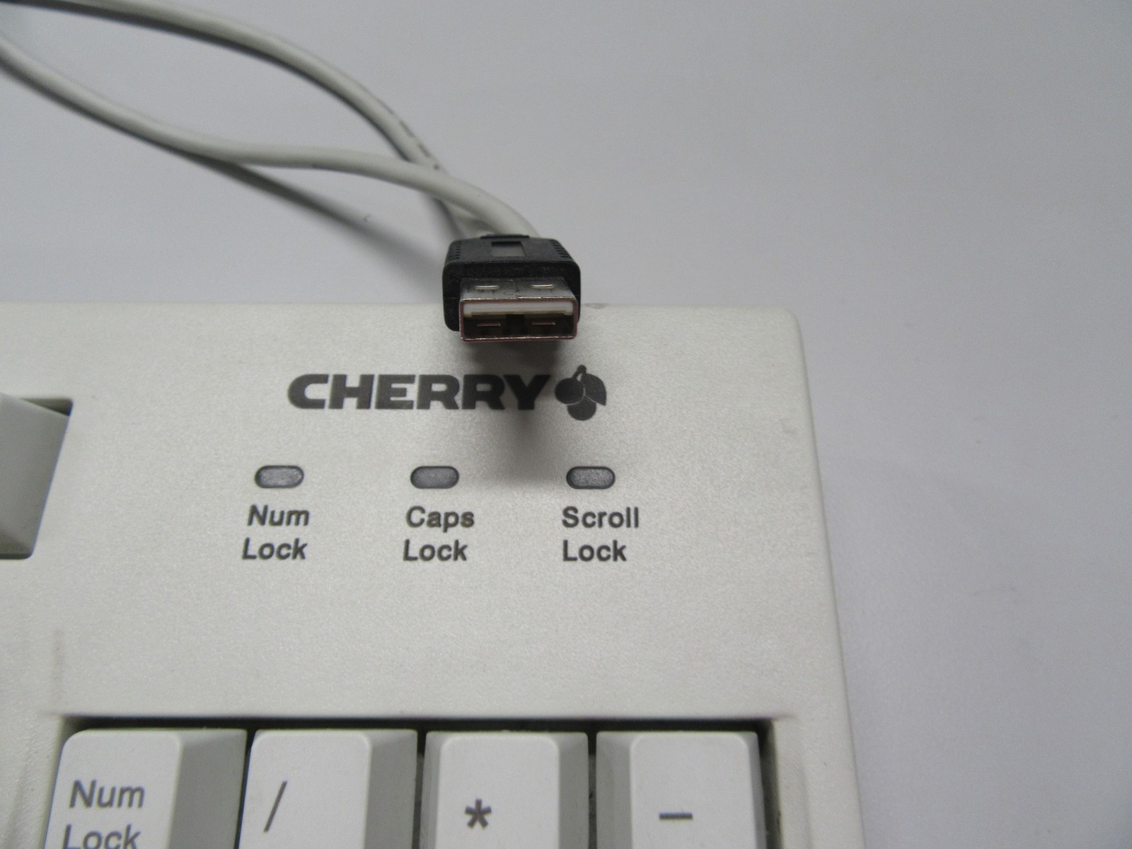 Vintage Cherry RS 6000 USB Mechanical Computer Keyboard Beige