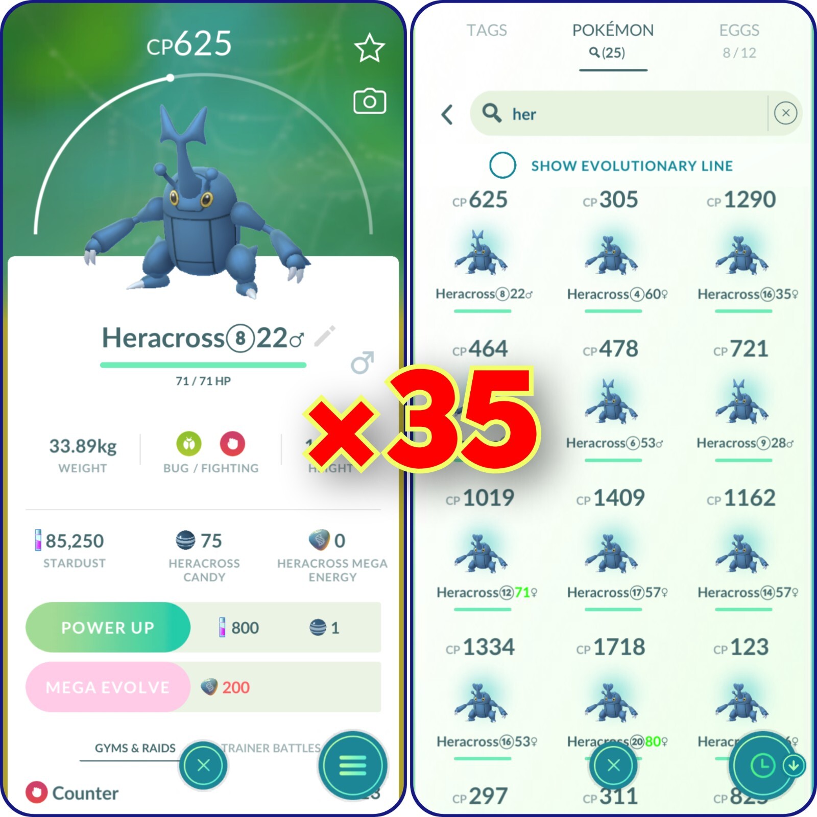 Regional: (×35) Non-Shiny Heracross | Tra de P_T_C | Chance of Lucky!