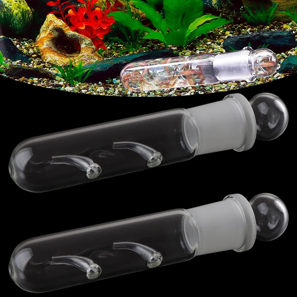 2 Pack Clear Glass Planaria Trap Catch Trap Aquarium Cleaning Supply for Dwarf S