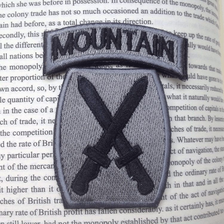 USA 10TH MOUNTAIN DIVISION ARMY Embroidered Hook BADGE PATCH