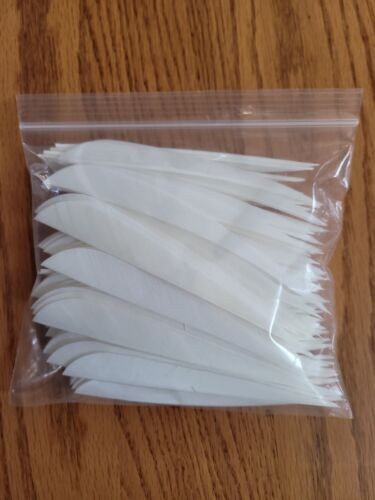 4 inch Feathers Right Wing Parabolic Cut 100 pack White