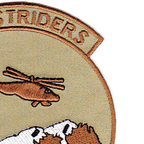 1st Battalion 1st Aviation Regiment C Company Patch