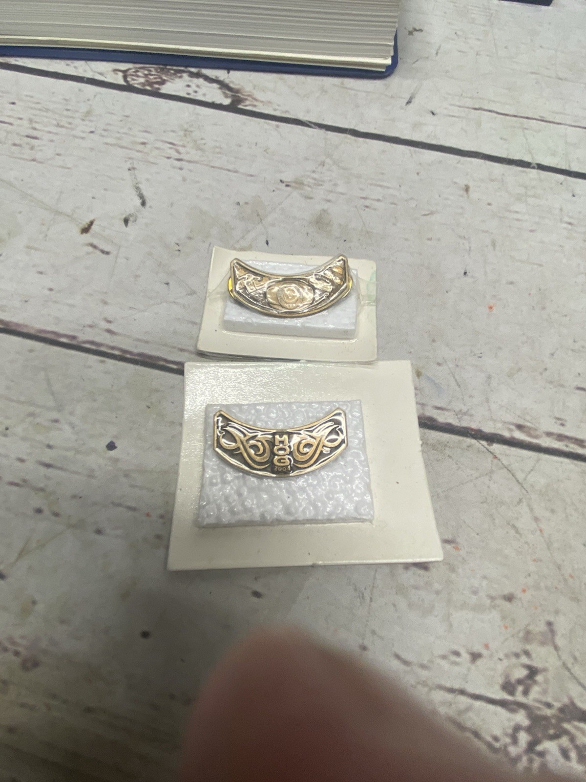 2 Pins Harley Davidson Pins HOG 2004 NEW