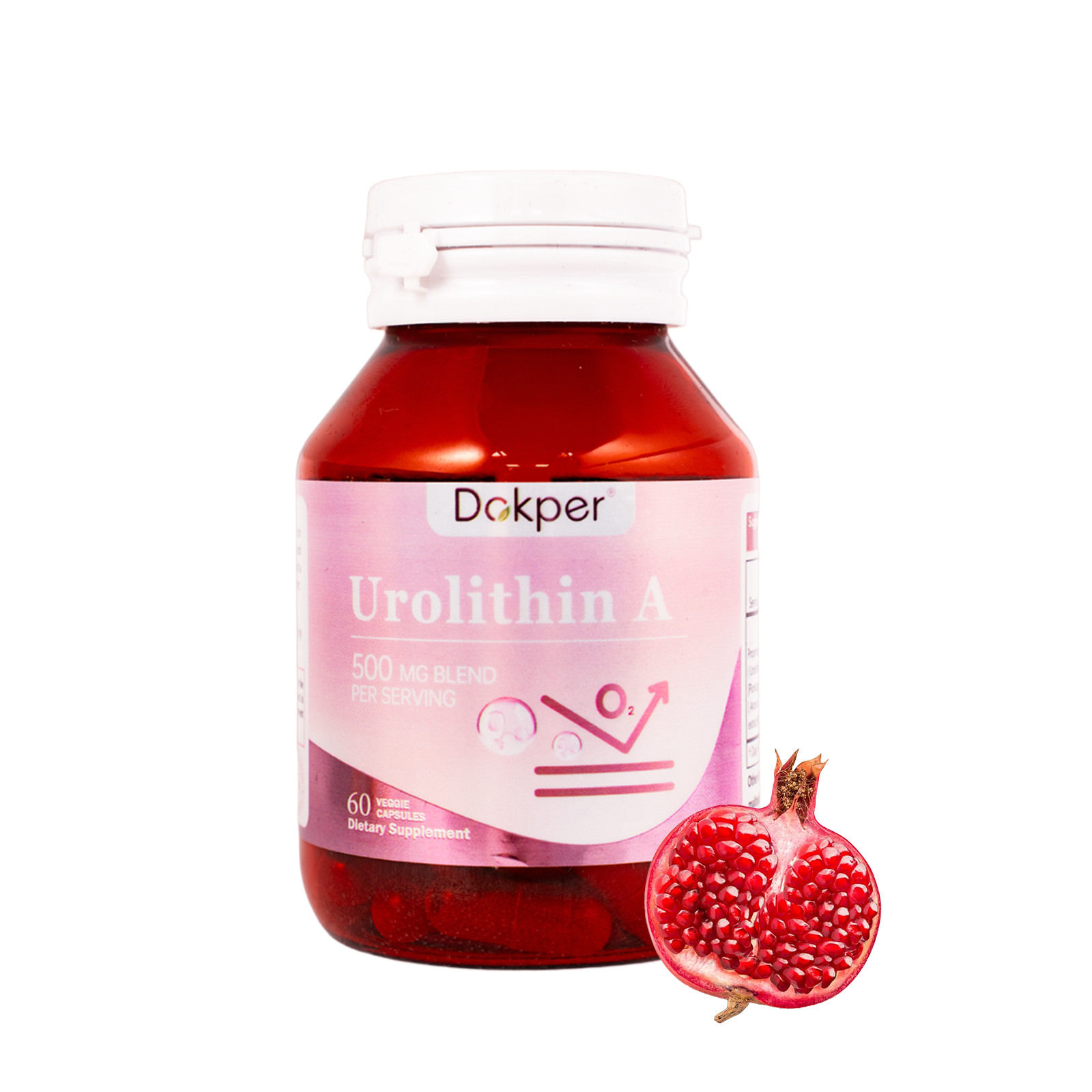 500MG Urolithin A for Healthy Aging Cellular Overall Health Energy Vitality