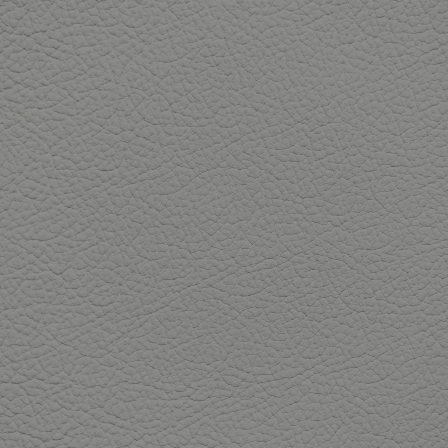 GM Light Steel Leather Dye