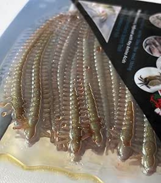 ARTIFICIAL - RAGWORM (BROWN / GREEN) 10CM  NATURAL FLAVOUR INFUSED  X12  WORM