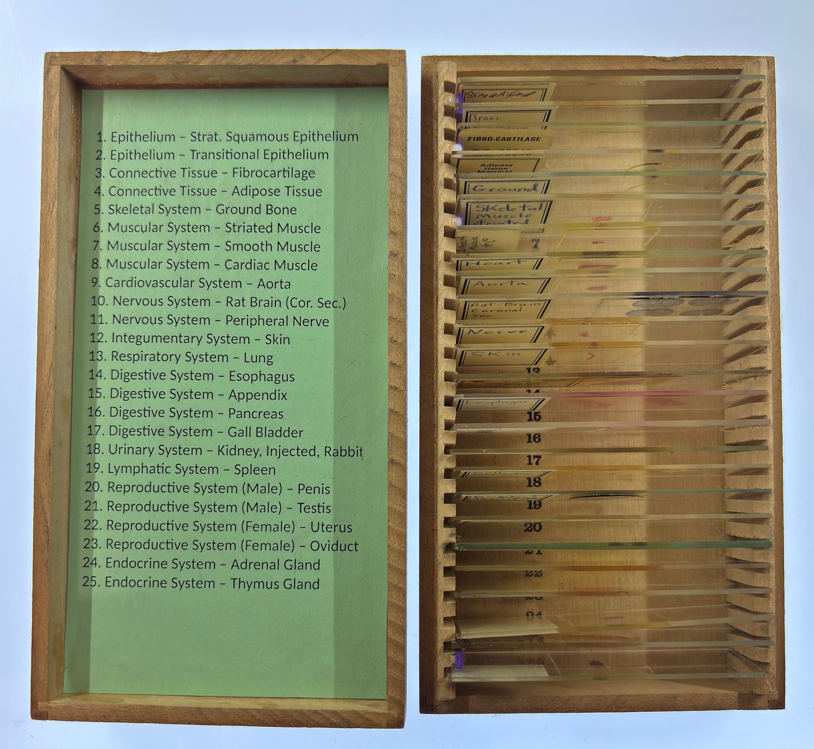 MAMMAL HISTOLOGY Microscope Slides set ORGAN SYSTEMS ANATOMY in wooden case