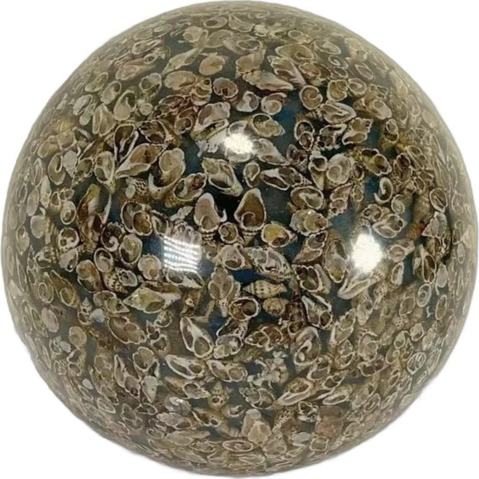 Globe Sphere Small Seashell Beach Home Art Decoration Object Nautical Smooth