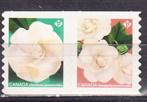 W CANADA 3167-3168 FLOWERS GARDENIAS