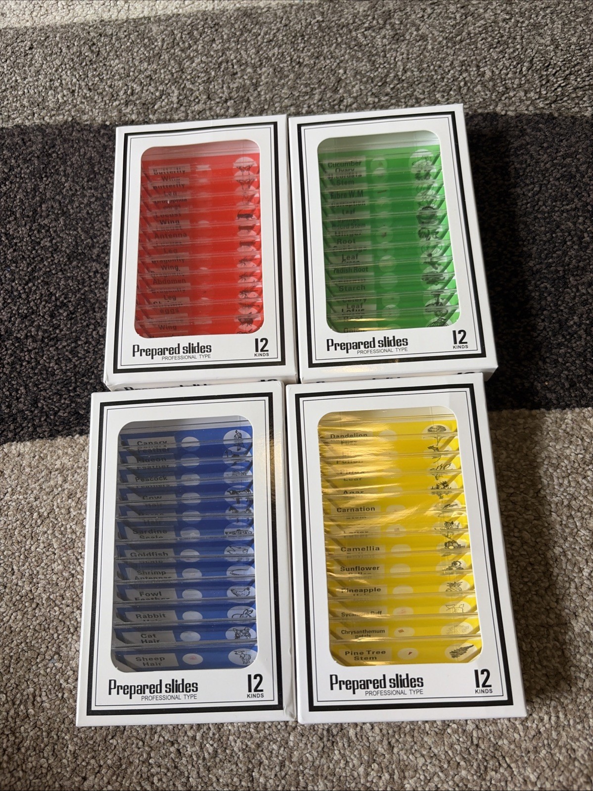 48Pcs Prepared Microscope Slides Specimen Animals Insects Plants Flowers, Etc.