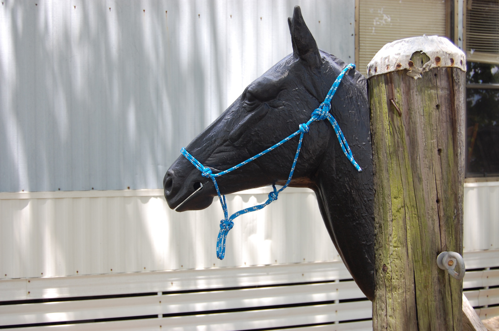 Natural Horsemanship Soft Yacht Rope Training Halter - COLORS! Fits Parelli