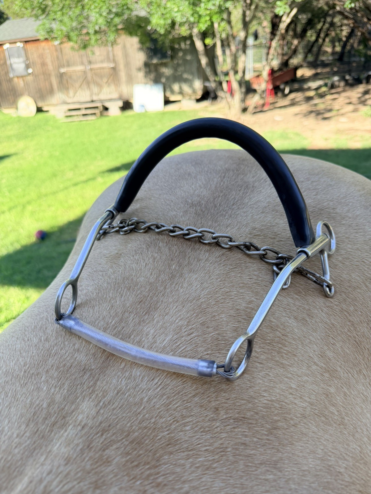 Brittany Pozzi Hackamore 7 1/4" BPB-201