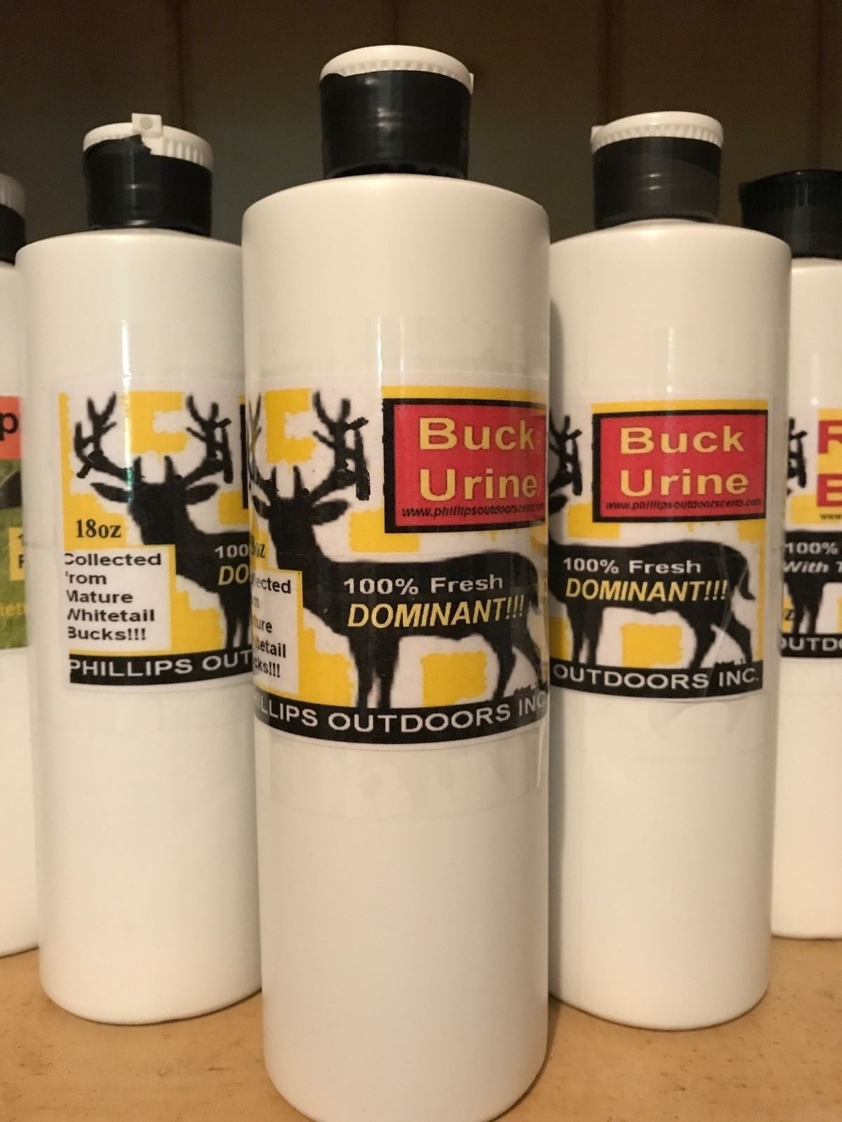 Dominant Buck Urine - 18oz. Bottle of Whitetail Dominate Buck Urine/ Deer Lure