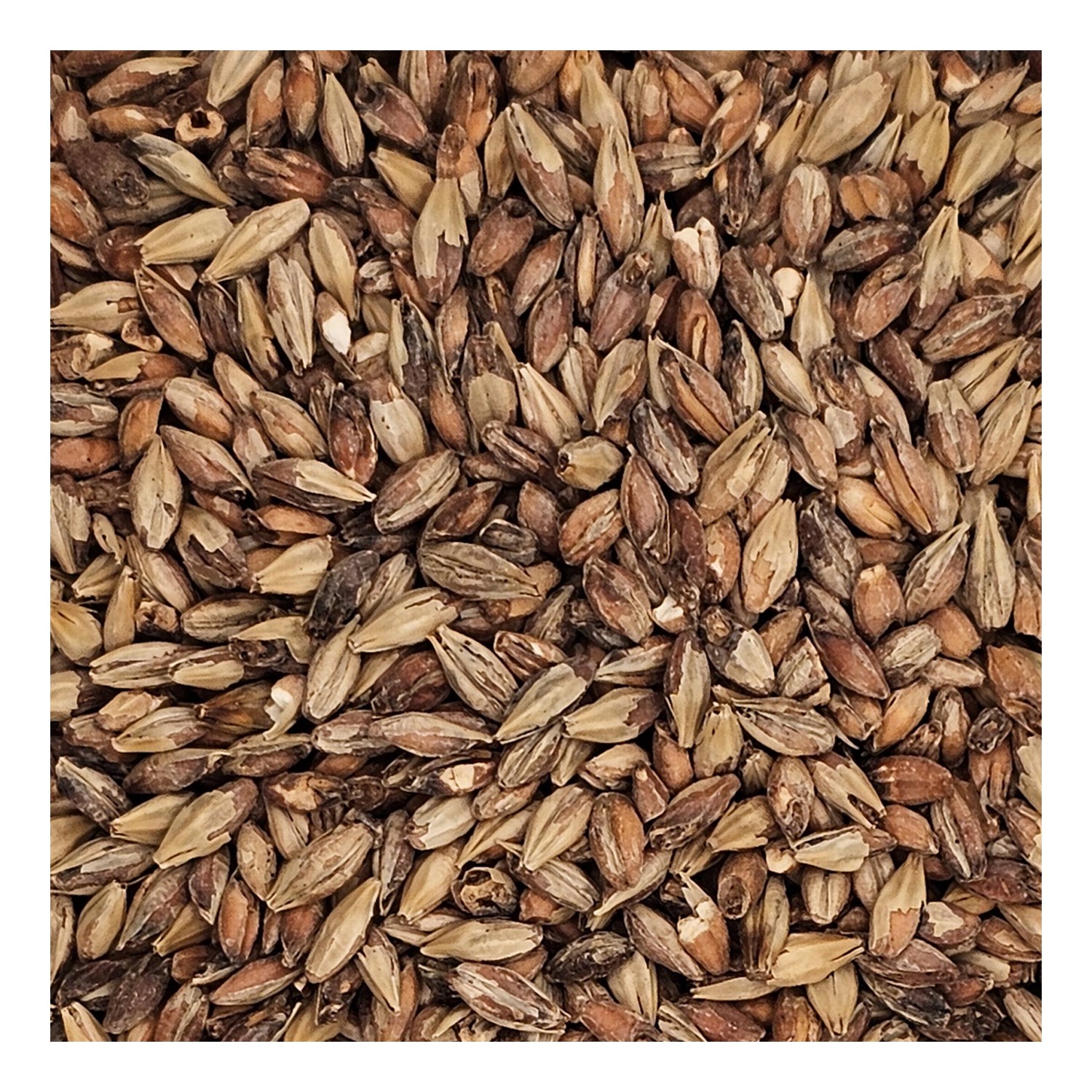 Home Brew Ohio Victory Malt Grain 5lb