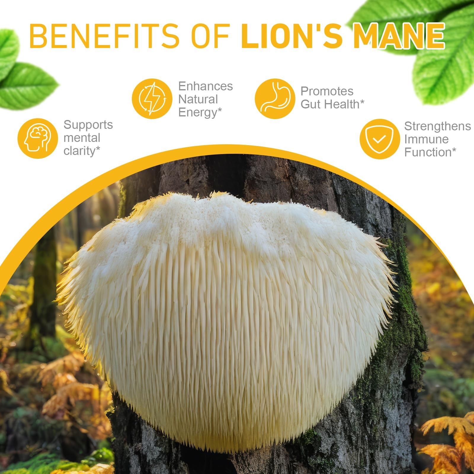 Lions Mane Mushroom Drops 120,000mg Brain Supplement 2oz Memory Focus