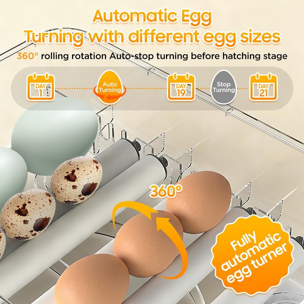 2026 Automatic Egg Incubator with Humidity Control for 288 Eggs