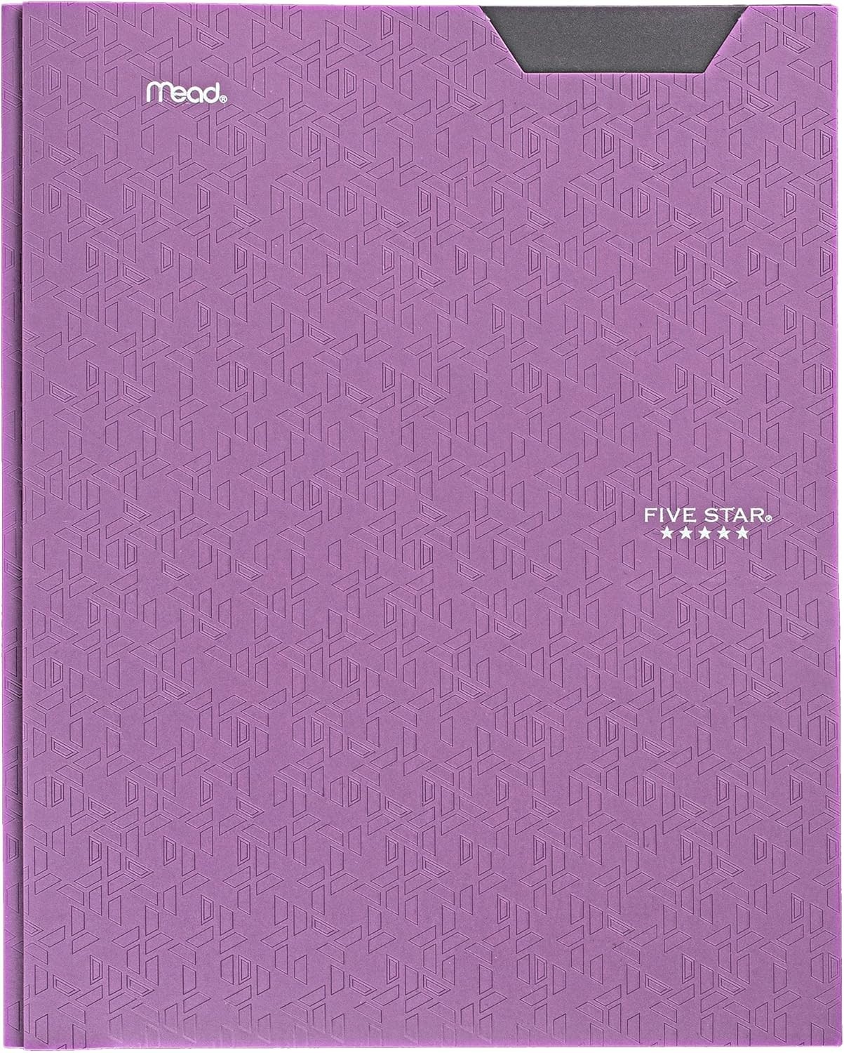 2-Pocket Folder, Plastic Folder with Stay-Put Tabs and Prong Fasteners, Holds...