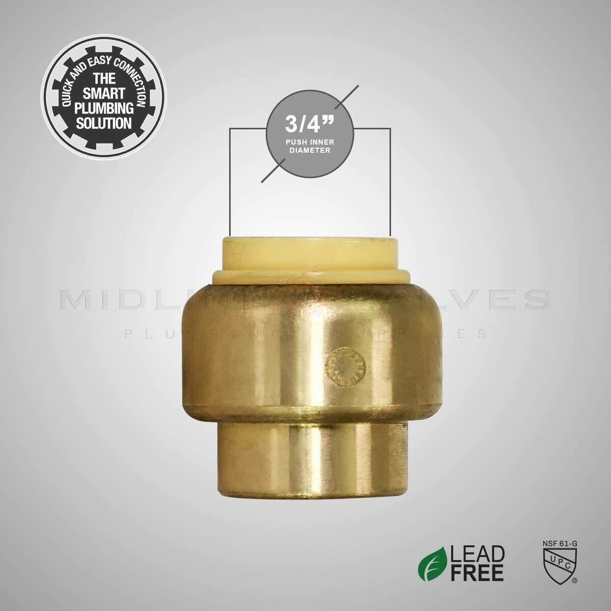 Plug End Cap Pipe Fitting Push to Connect Pex, Copper, CPVC, 3/4", Brass, 5-Pack