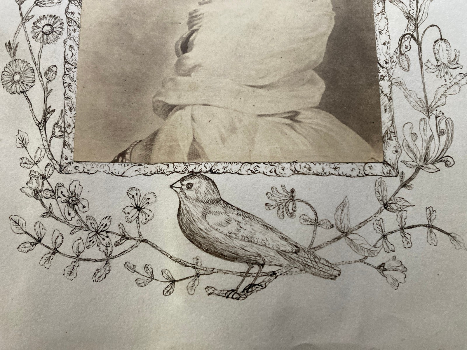 Victorian pen and ink border work around albumen art prints birds Landseer