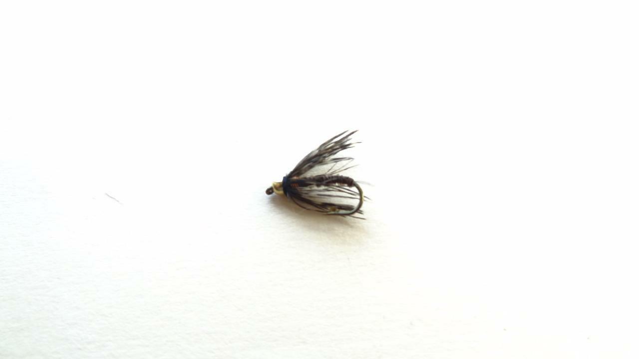 1 DOZ DF-5 BEAD HEAD FLASHBACK PHEASANT TAIL SOFT HACKLE (COLORS & SIZES) NYMPH